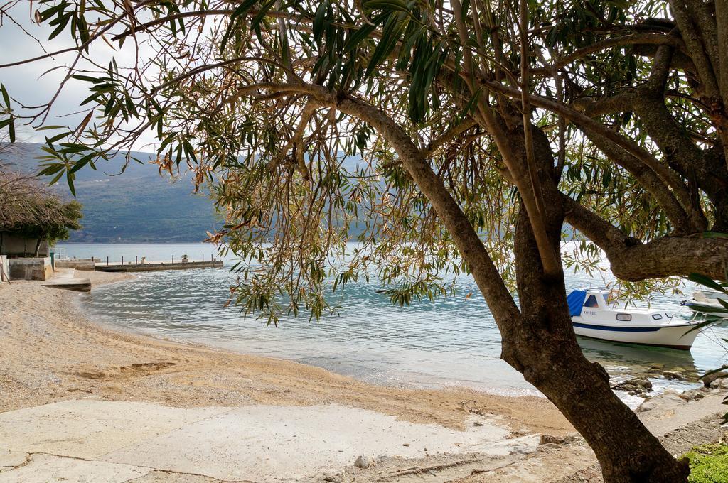 Apartment Begonia Of Kumbor Herceg Novi Zewnętrze zdjęcie